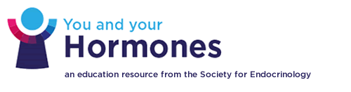 Endocrinology Logo - You and Your Hormones