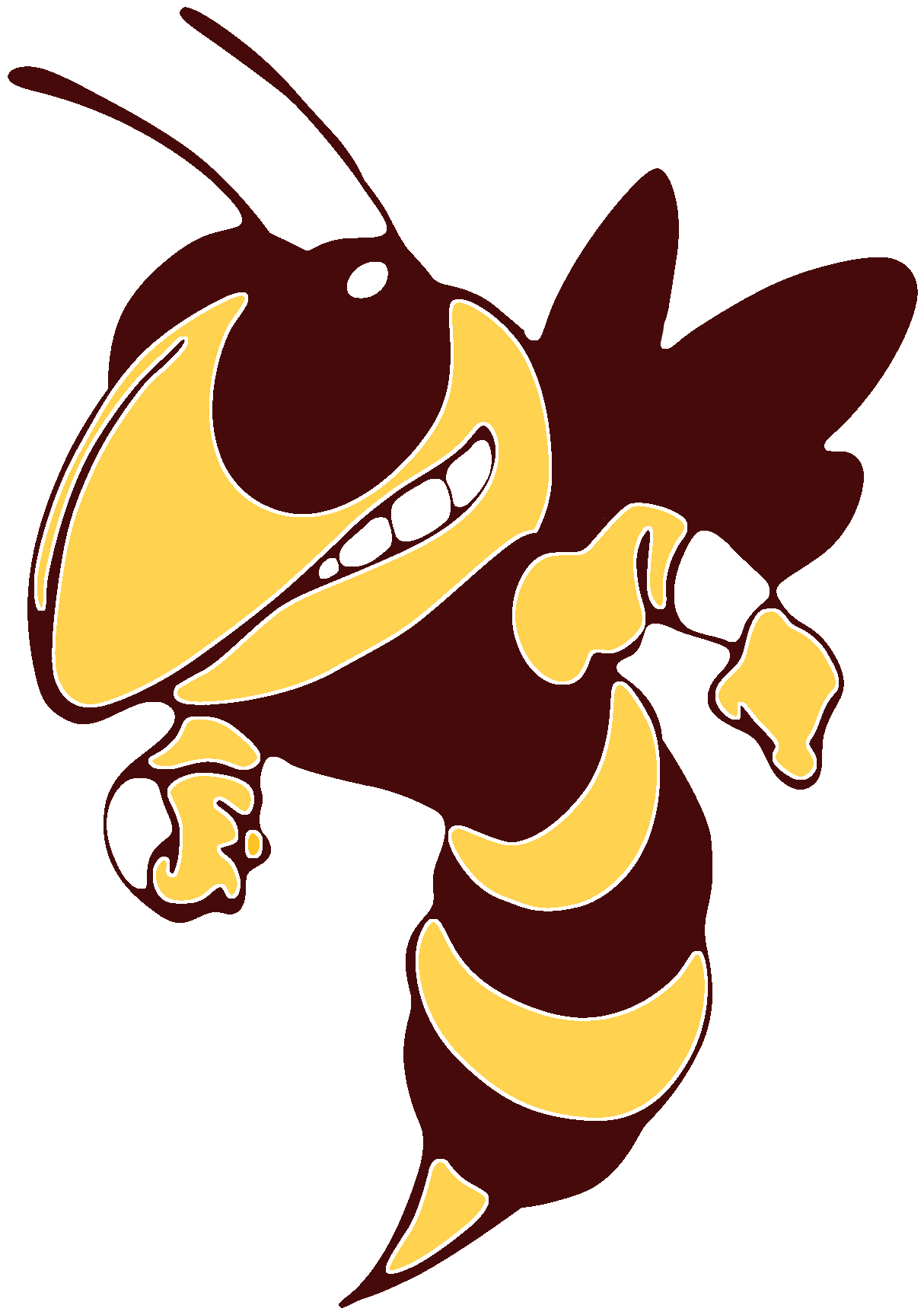 Williamstown Logo - The Williamstown Yellowjackets