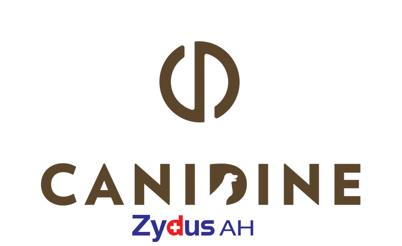 Zydus Logo - zydus logo - Canidine - Active Pet. Active family
