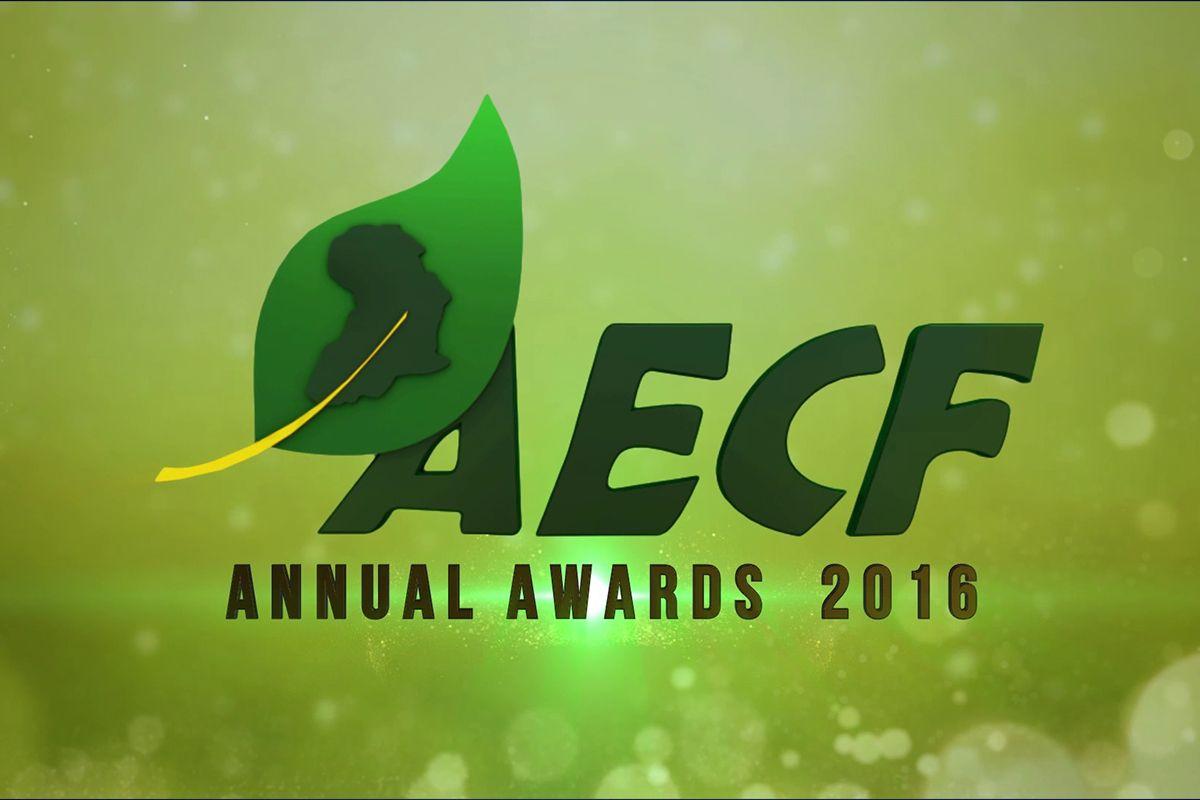 Aecf Logo - AECF 2016