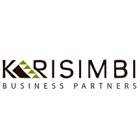 Businesspartners Logo - Karisimbi Business Partners | LinkedIn