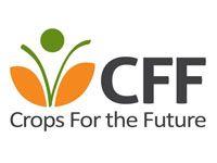 CFF Logo - CFF logo