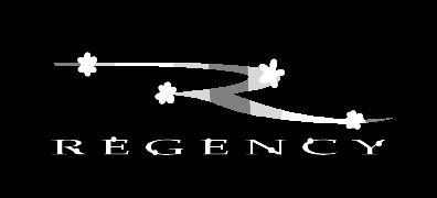 Regency Logo - Your Dream Variations - Regency Enterprises - CLG Wiki's Dream Logos