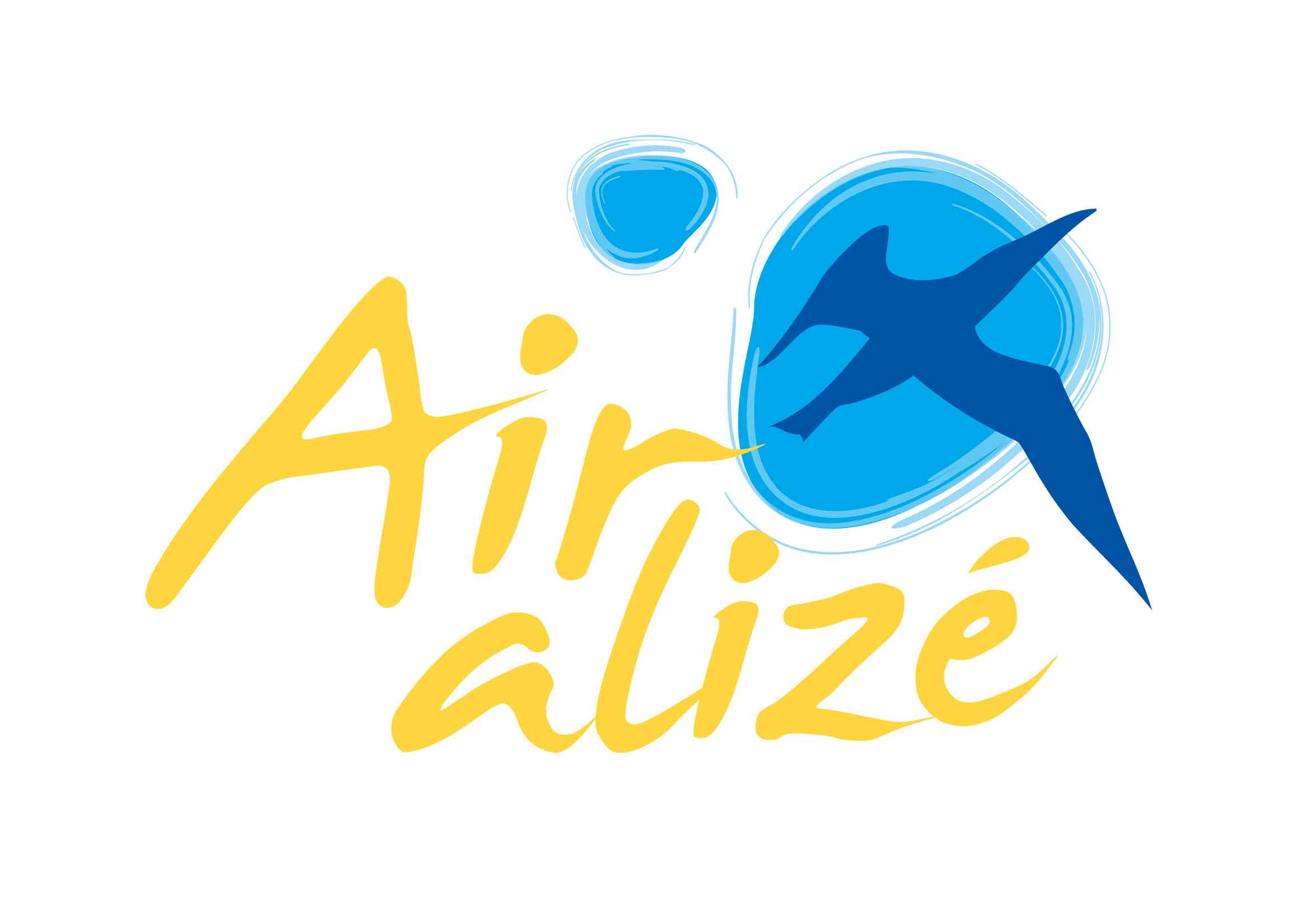 Alize Logo - Air-Alize-Logo - Aircraft Structural Contractors