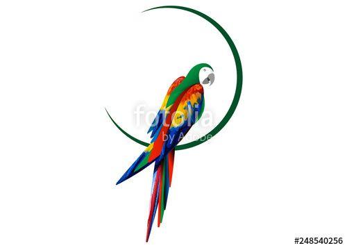 Macaw Logo - parrot logo idea design, beautiful scarlet macaw bird in natural