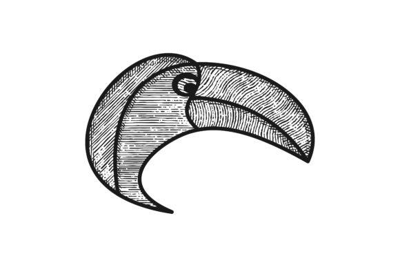 Macaw Logo - Head of macaw birds logo