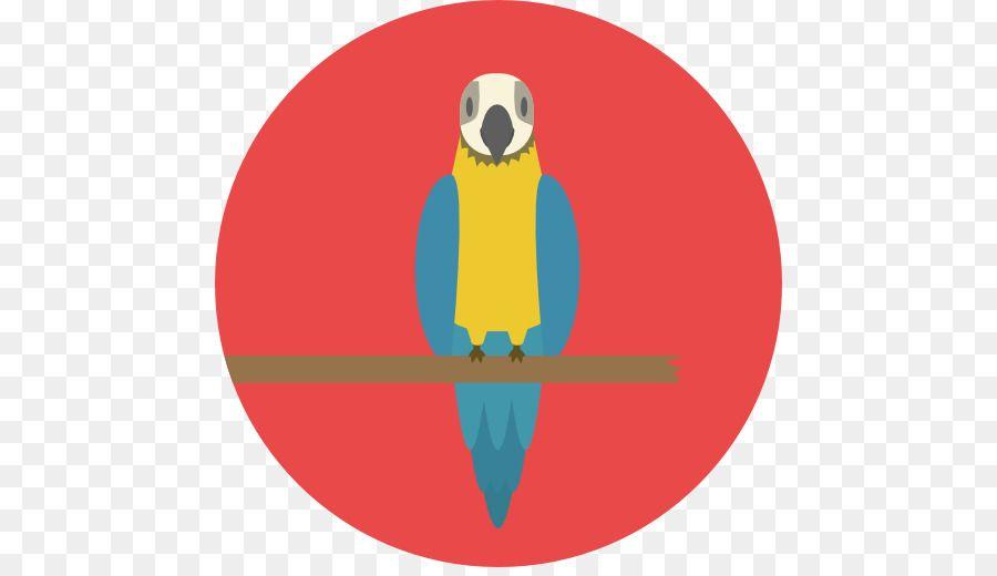 Macaw Logo - Beak Vertebrate png download - 512*512 - Free Transparent Beak png ...