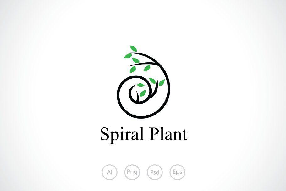 Spiril Logo - Spiral Plant Logo Template Logo Templates Creative Market