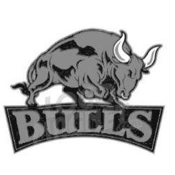 Bullz Logo - bullz - Logo Magnet