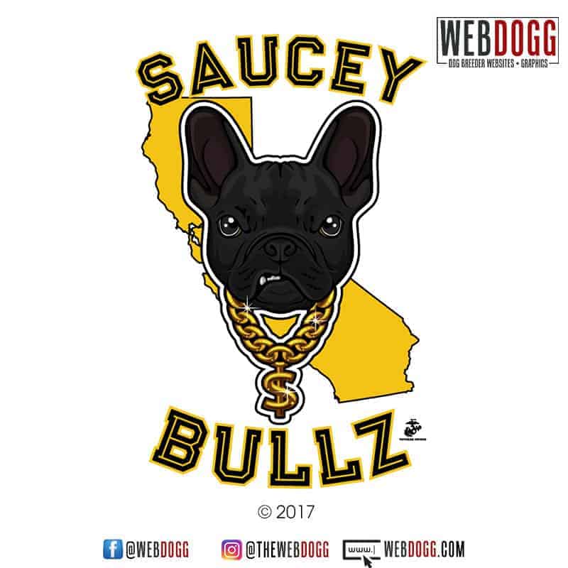 Bullz Logo - Saucey Bullz – Logo Design - WEBDOGG