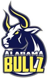 Bullz Logo - Will Birmingham join the Federal Hockey League?
