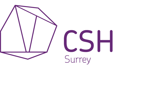 CSH Logo - Renaming, brand repositioning, logo design and visual identity case ...