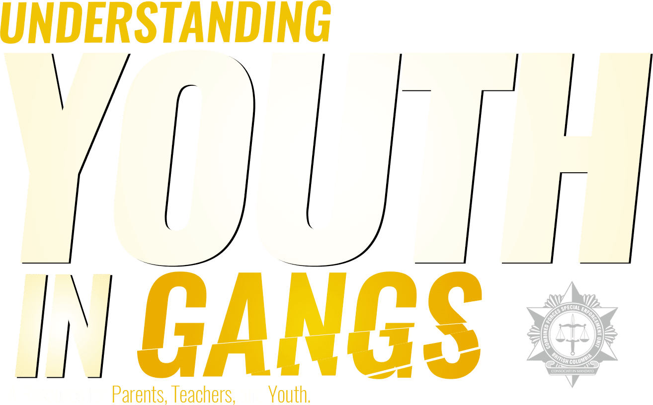Gangs Logo - UNDERSTANDING YOUTH & GANGS BOOKLETS | The Combined Forces Special ...