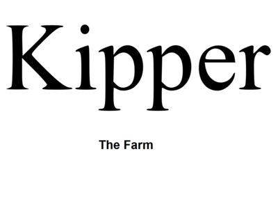 Kipper Logo - After the Show with Kipper Bumper | Barney&Friends Wiki | FANDOM ...