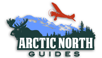 Alaskan Logo - Arctic North Guides : Alaska Hunting & Fishing Guides : Brown Bear ...
