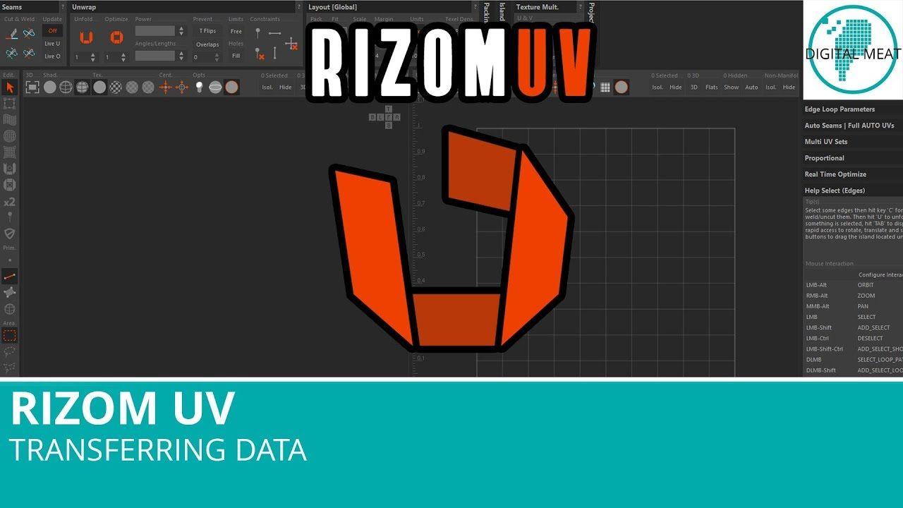 Rizomuv Logo - RizomUV: Transferring Data
