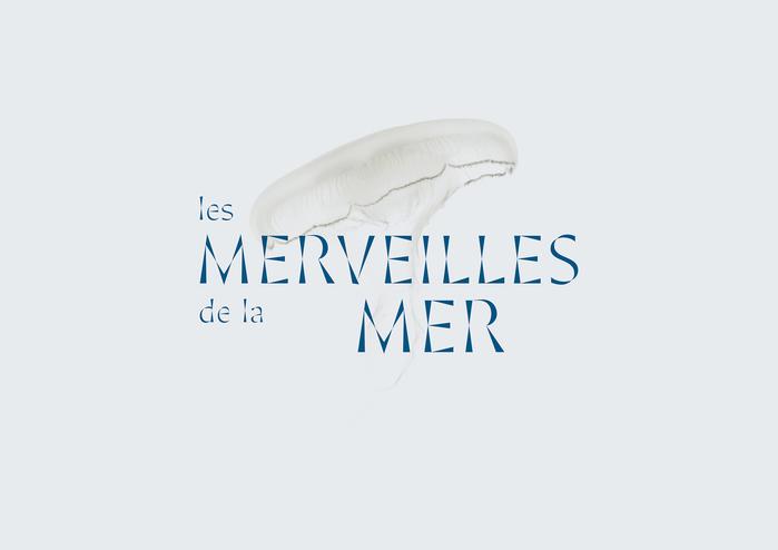 Mer Logo - Les Merveilles de la Mer (rebranding proposal)