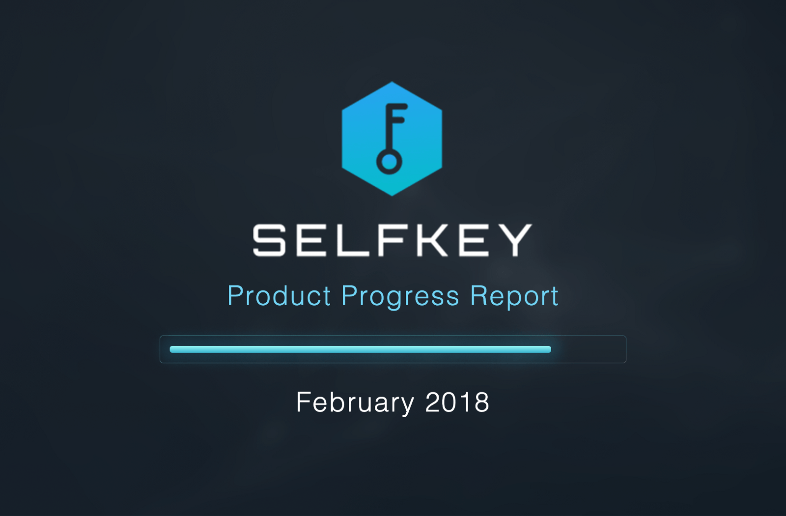 Selfkey Logo - SelfKey Product Progress Report February 2018