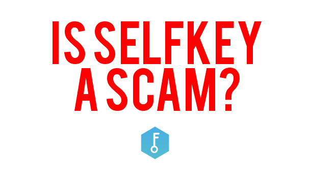 Selfkey Logo - Is Selfkey A Scam?