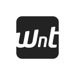 Wnt Logo - WNT Solutions Careers (2019)