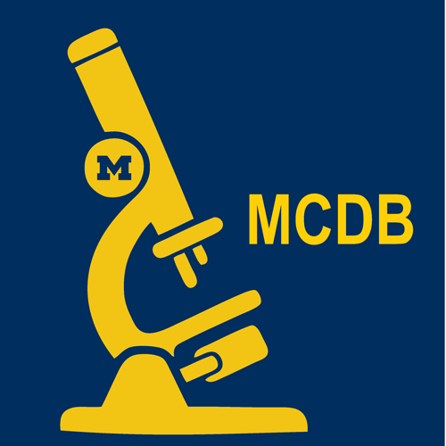 Wnt Logo - How Wnt signaling modulates cell shape and organization to