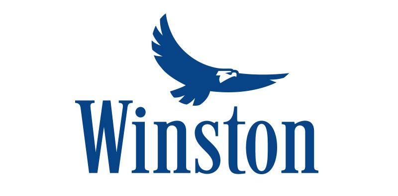 Winston Logo - WINSTON - DAVID ALEXANDRE CALMEL