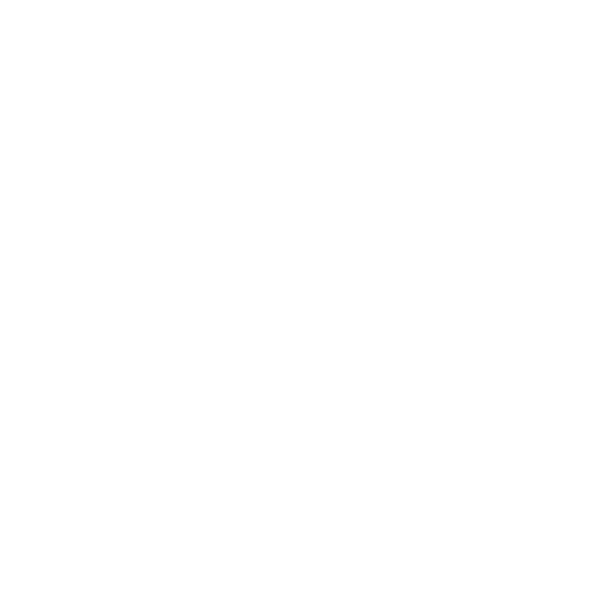 Backcountry Logo - Crested Butte Dispensary | Recreational Marijuana | Backcountry Cannabis