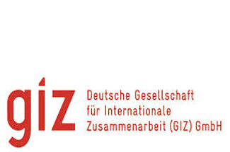 Giz Logo - GIZ Logo