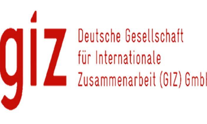 Giz Logo - Giz