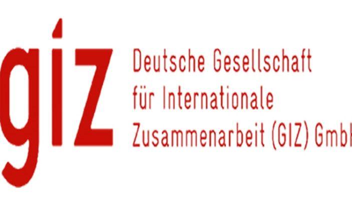 Giz Logo