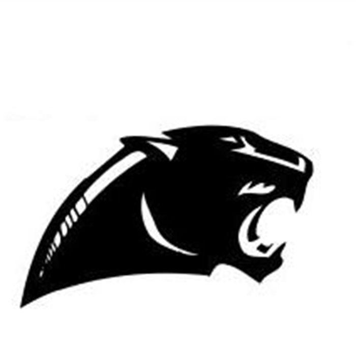 Springboro Logo - Sam Brown