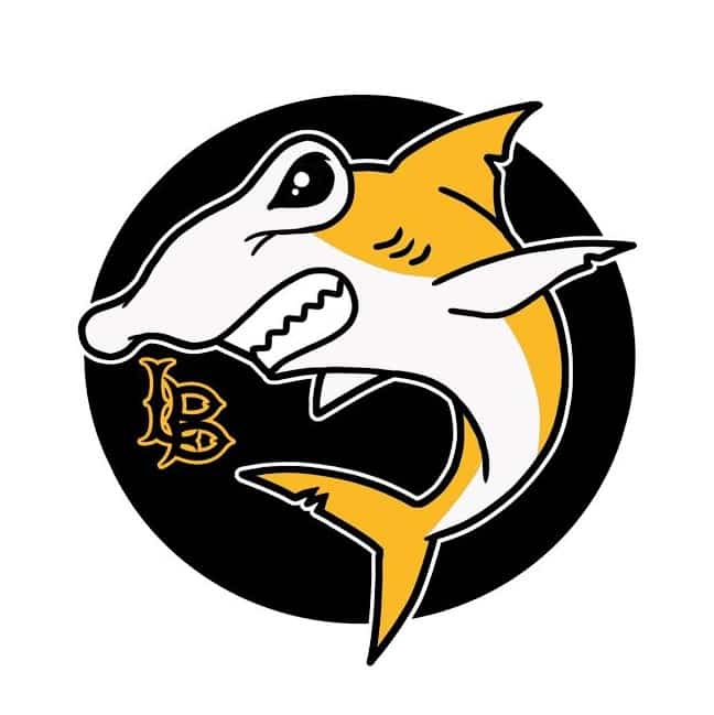 CSULB Logo - Our unofficial CSULB mascot contest: There's still time to picture