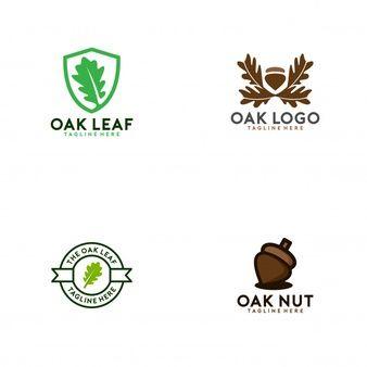 Oak Logo - Oak logo collection Vector