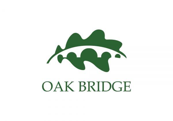 Oak Logo - Oak Bridge Consulting