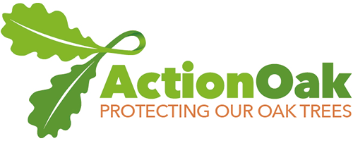 Oak Logo - Action Oak | Together We Can Protect Our Oak Trees