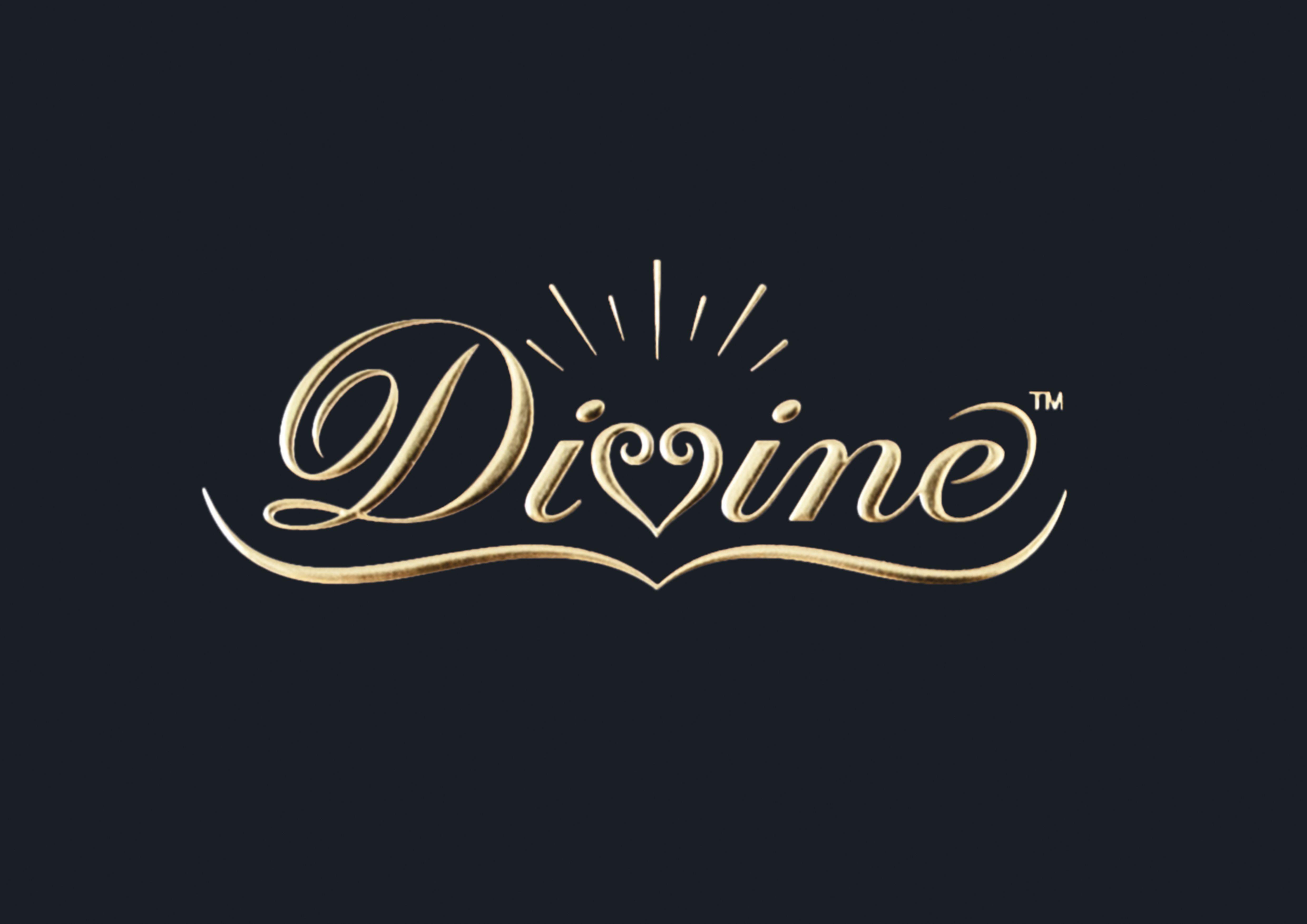 Divine-Renovation-Logo-RGB-Web-Colour | Steubenville Conferences