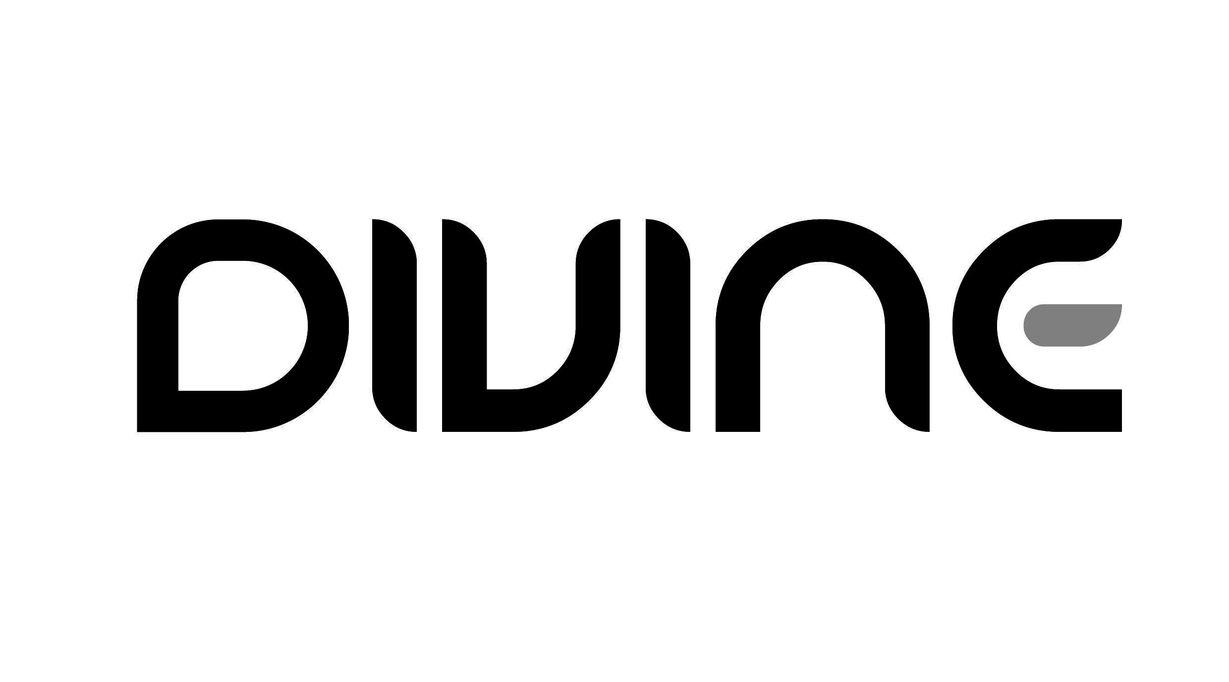 Divine Logo - Divine Logo 03 | Divine Sales (Pty) Ltd
