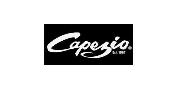 Capezio Logo - Capezio Airess Point Shoes Tapered 1133