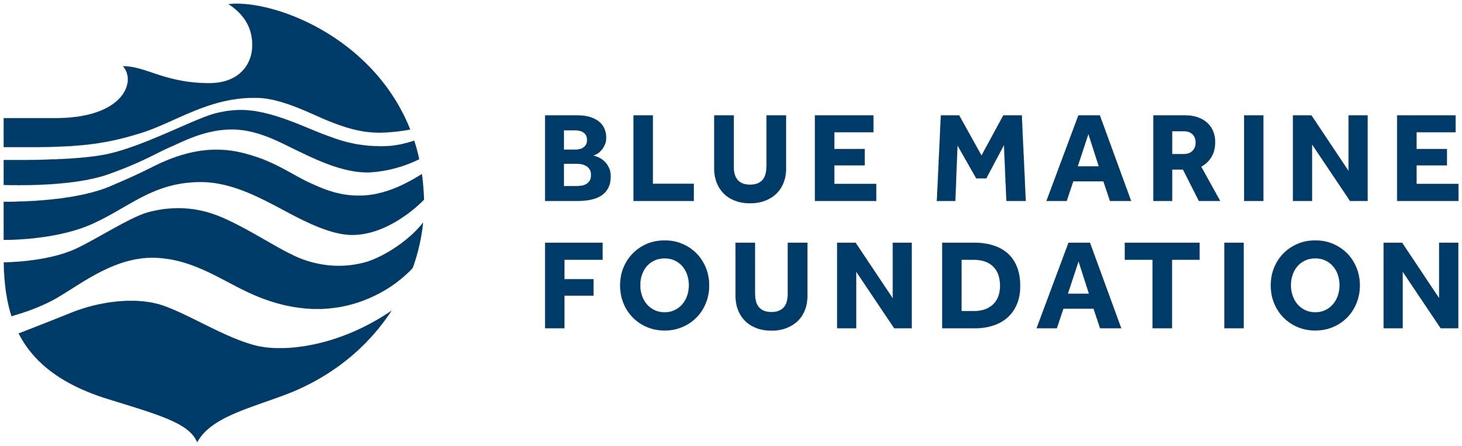 BMF Logo - BMF Logo 2 RGBSMALL - Blue Marine Foundation
