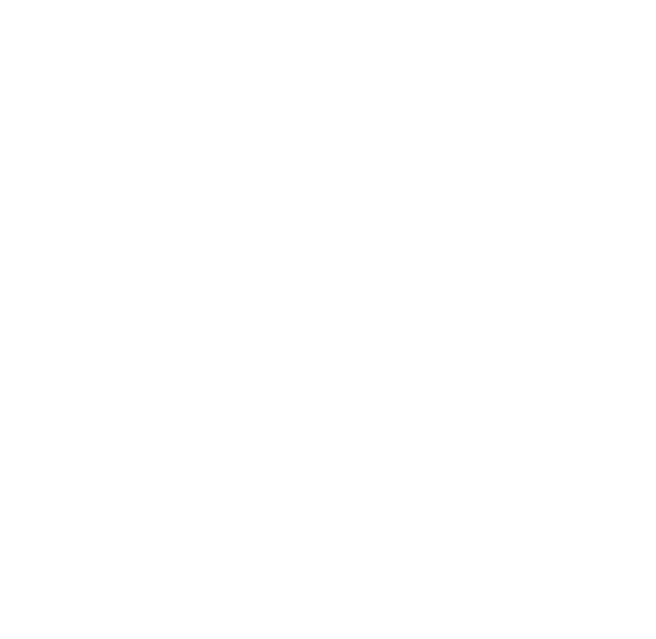 Zimmerman Logo