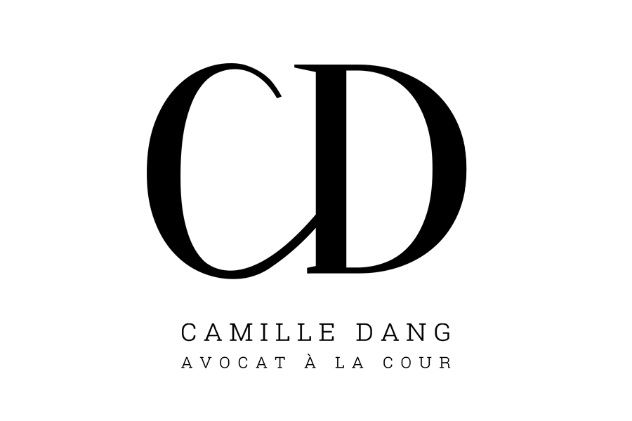 Dang Logo - HOME - Camille Dang - Droit du Tourisme - Droit des Affaires - Paris