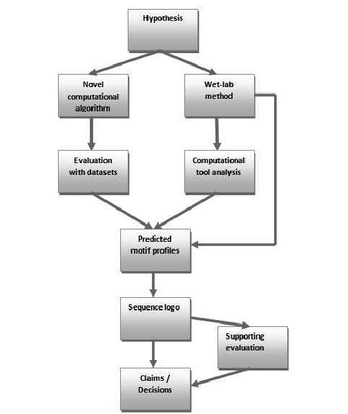 Decision Logo - Decision making showing use of sequence logo | Download Scientific ...