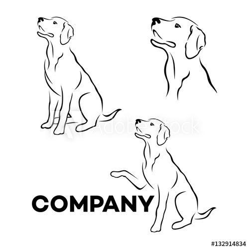 Labrador Logo - Dog breed Labrador logo - Buy this stock vector and explore similar ...