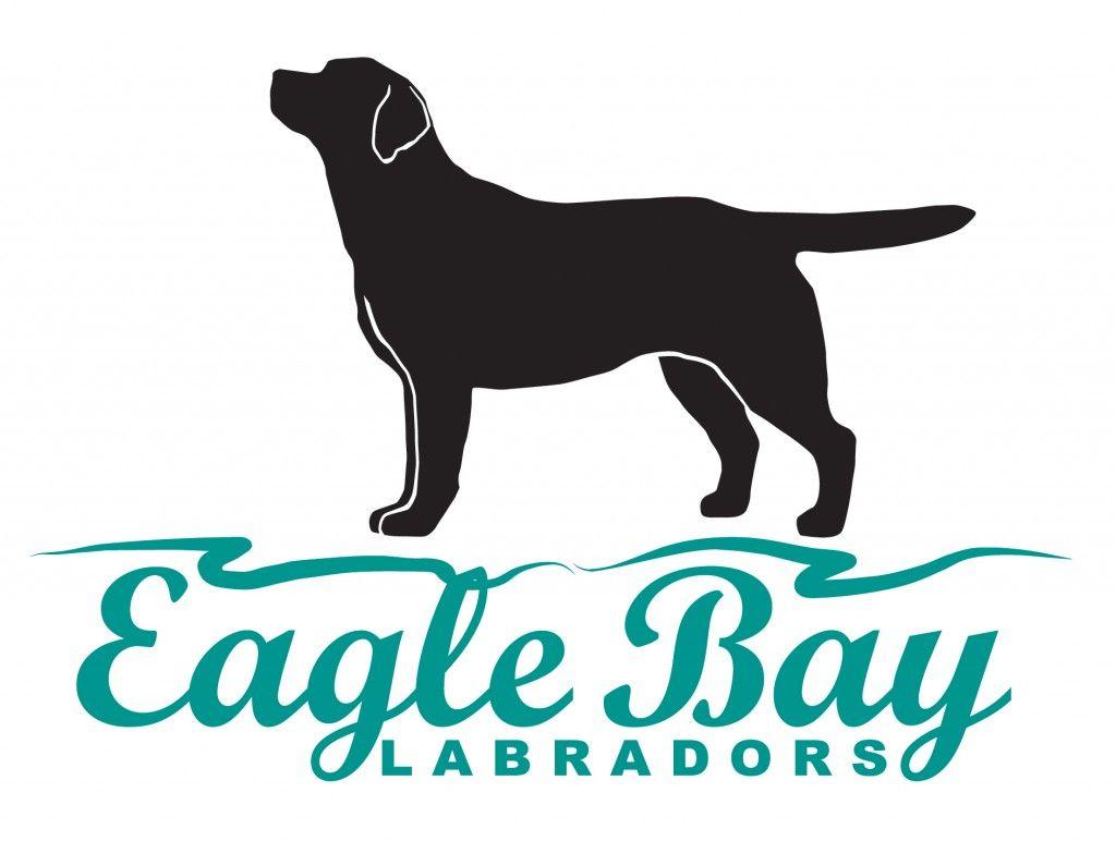 Labrador Logo - Eagle bay labradors – Indiana's top Labrador breeder, and show dogs