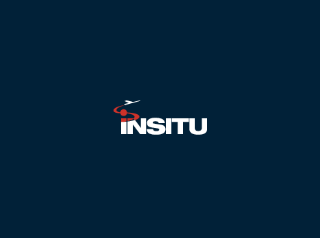 Insitu Logo - Insitu Services Web and Application Development