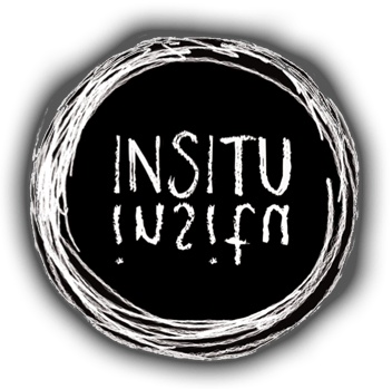 Insitu Logo - Insitu Global