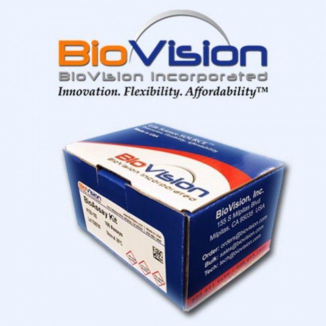 Stec Logo - PCR-STEC Detection Kit | K1452 | BioVision, Inc.