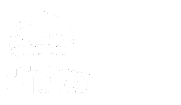 NOAO Logo - Einstein Schools: Learning and Communicating about Gravity