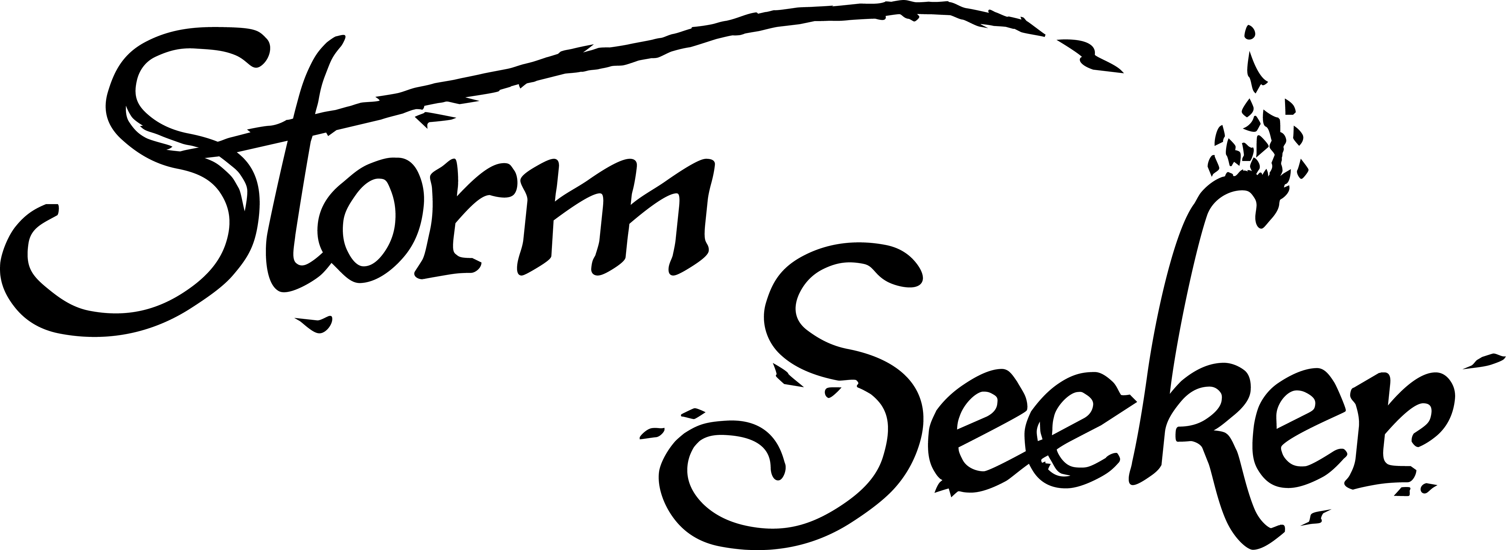 Seeker Logo - Storm Seeker