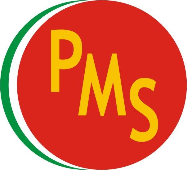 PMS Logo - Logo